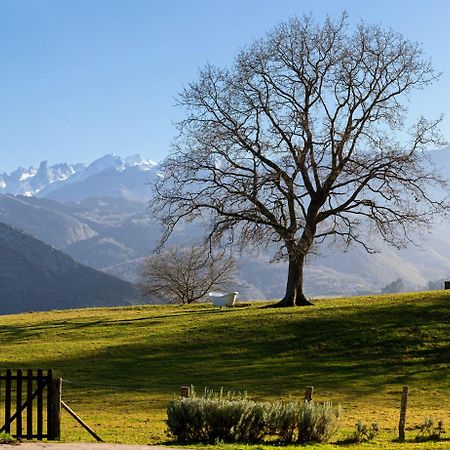 La Montana Magica Hotel Rural Vibano Экстерьер фото